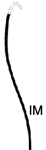 INTERNAL MAMMARY